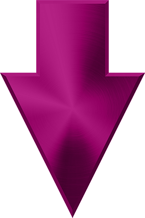 Payroll services process